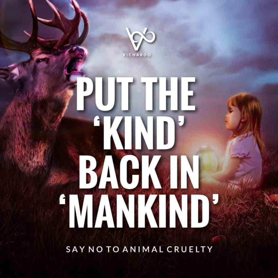 smitajs's tweet photo. Real kindness is...if shared with all living beings (human &amp; non human both). Kindness to animals should be a norm,  like it is for dogs and cats and humans #kindness #humanity #AnimalsRights #veganism https://t.co/8sS4jetNXa