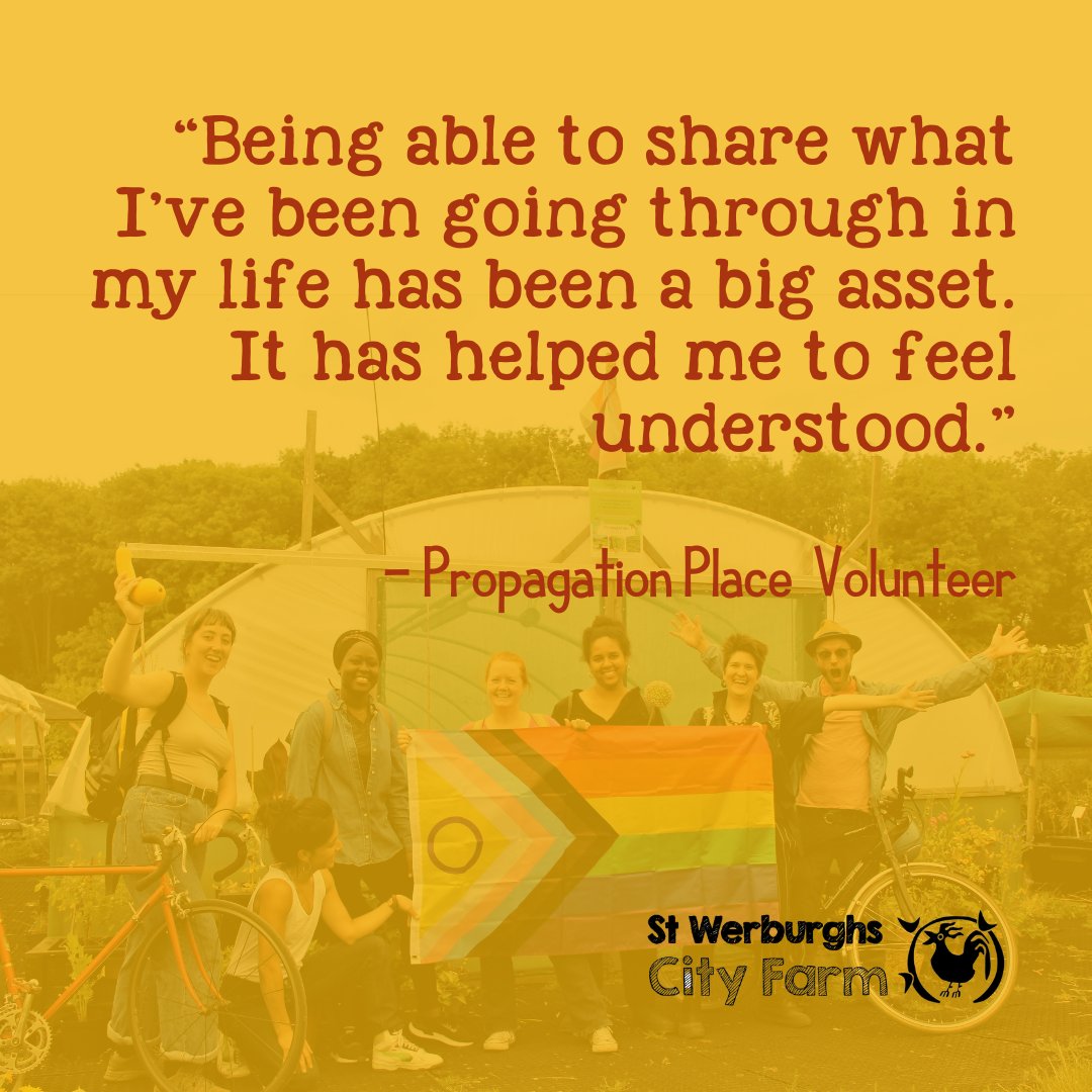 swcityfarm's tweet image. Did you know, that in addition to sowing, growing and selling vegetable plug plants, our community project @PropPlace is offering volunteering and educational opportunities for vulnerable adults in our community 🌱🌸🌼 #YourFarm