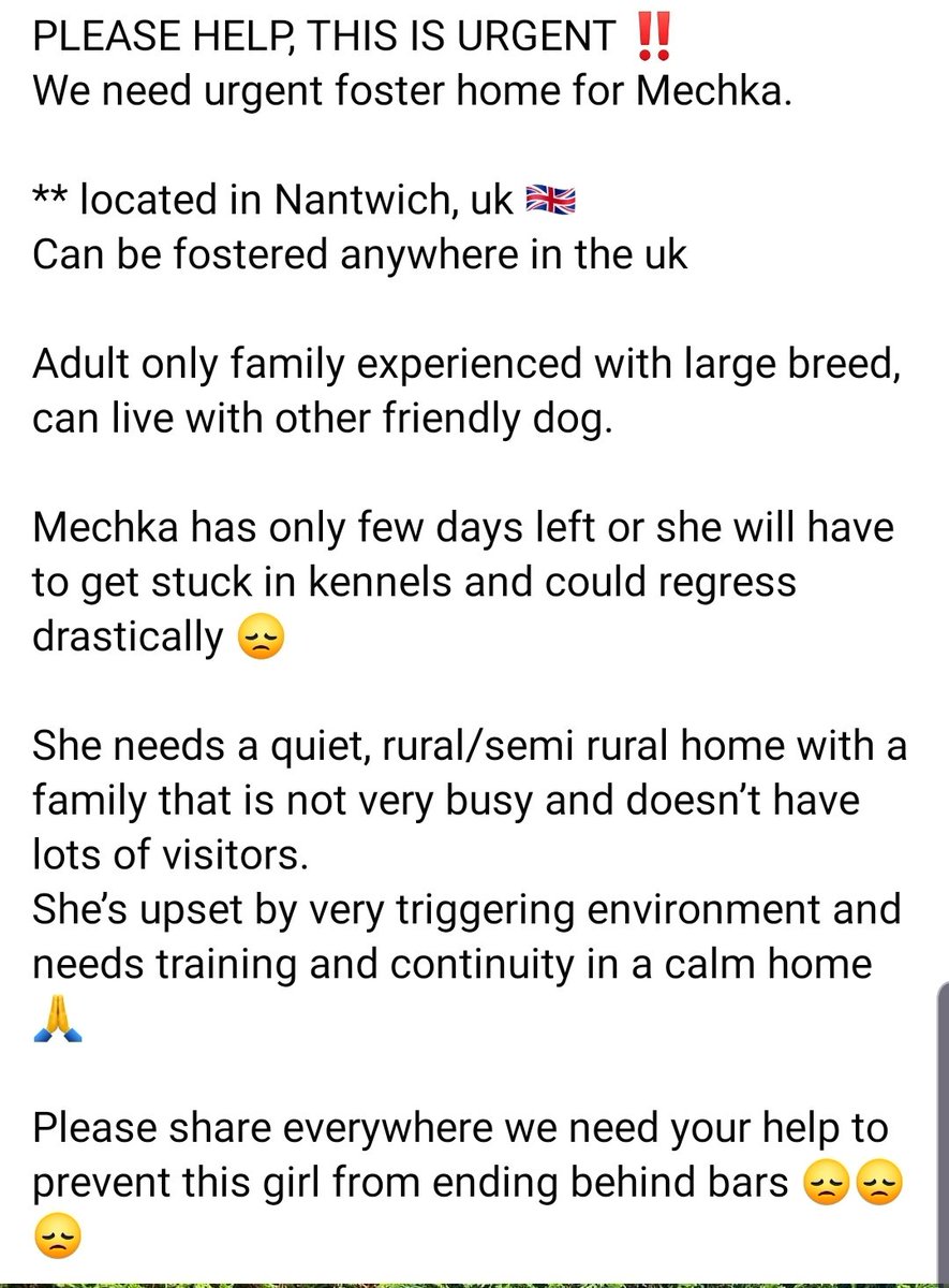swbrescue's tweet photo. URGENT FOSTER REQUIRED. 
PLEASE RT &amp; SHARE BEFORE SHE ENDS UP IN KENNELS. 

Please contact us if you can help in any way 🙏

#RescueDogs #AdoptDontShop #adoptme #Foster https://t.co/iCtIkLChHm