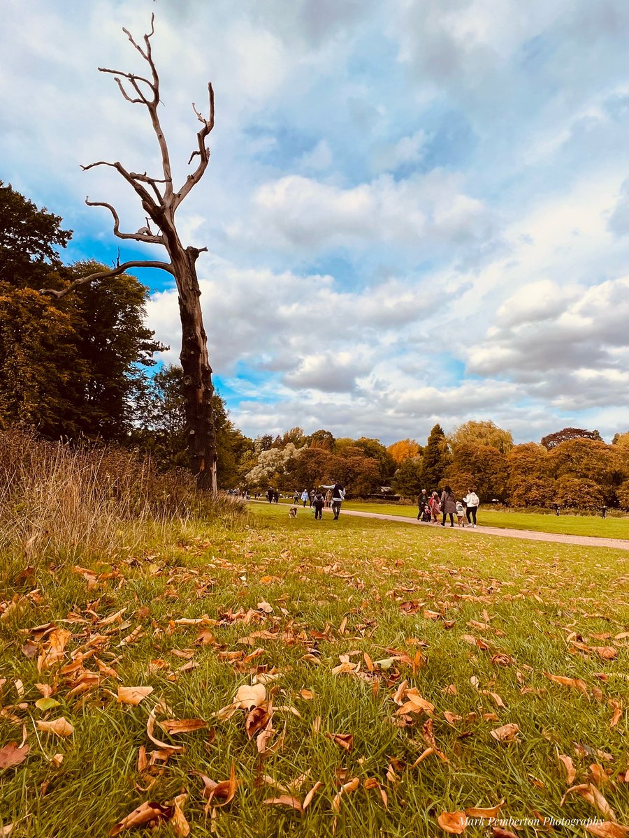 A lovely autumn stroll at Coombe Abbey today @coombeabbeypark @CoombeAbbey @visit_coventry @Covcultureshow @filmwarks