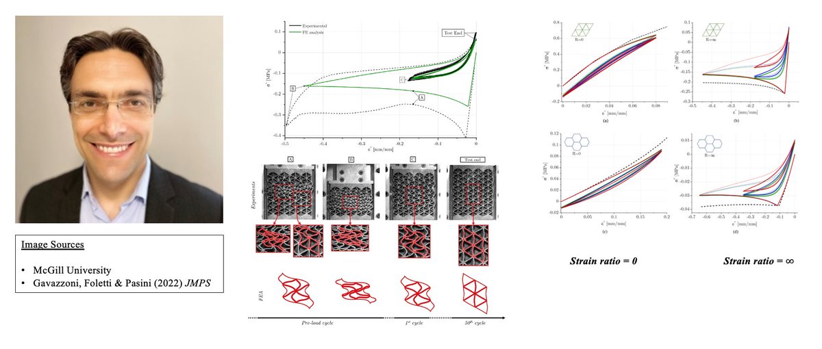 #DailyMechanician Damiano Pasini investigates origami/kirigami metamaterials, graded lattices &amp; biological architecture. A recent study examined instability in 3D-printed, soft cellular structures under cyclic loading, noting interplay of damage, creep &amp; geometric nonlinearity.
