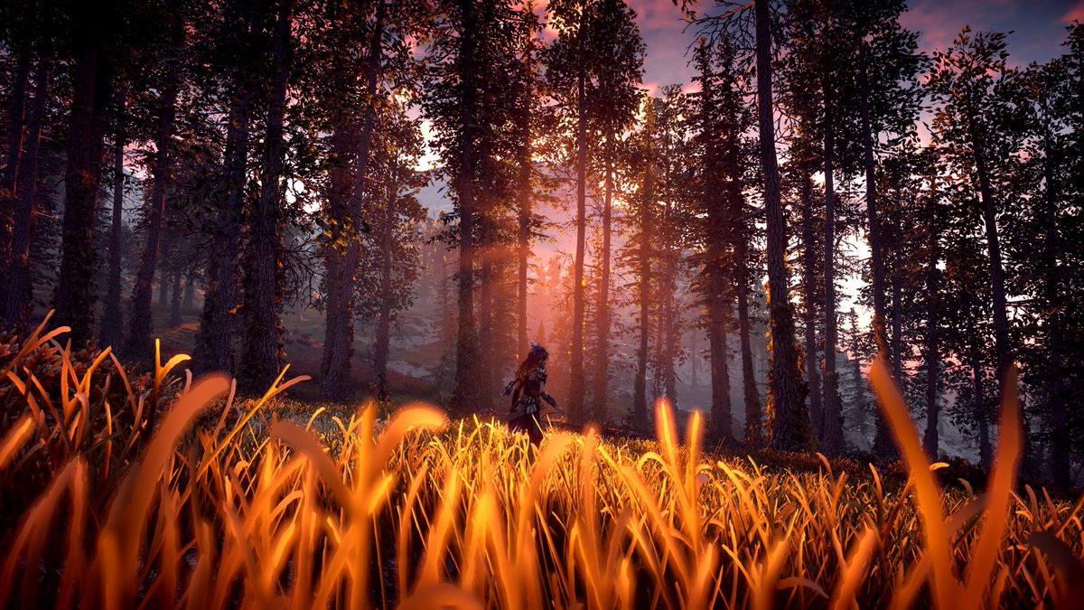 GNostalgea's tweet photo. #TCCForests
[#HorizonZeroDawn #ps4 #PlayStation #Guerrilla #guerrillagames #BeyondTheHorizon #VirtualPhotography] https://t.co/cKj2ojb11x