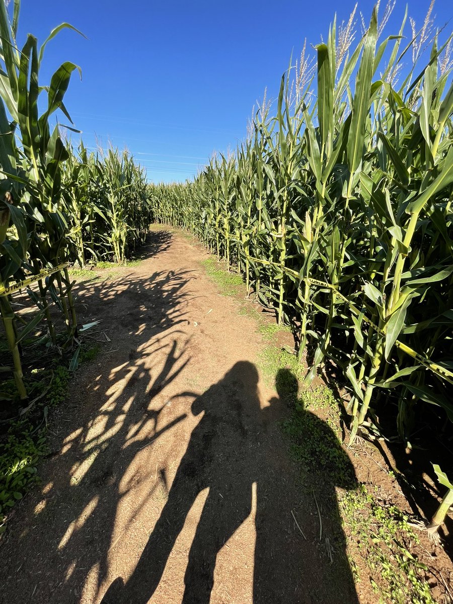 Penn Cardiology Fellows tweet media