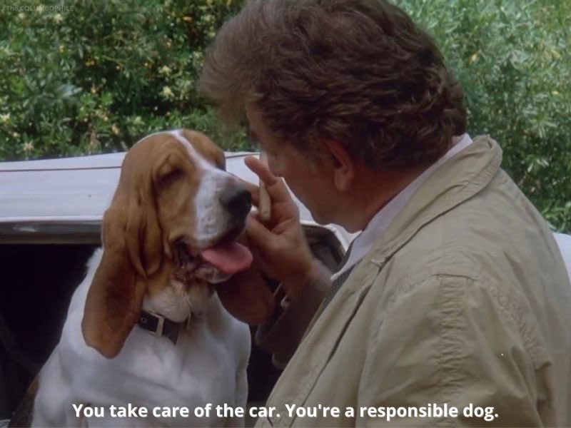 Lieutenant Columbo tweet media