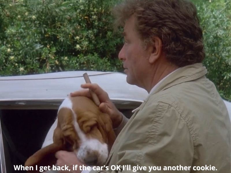 Lieutenant Columbo tweet media