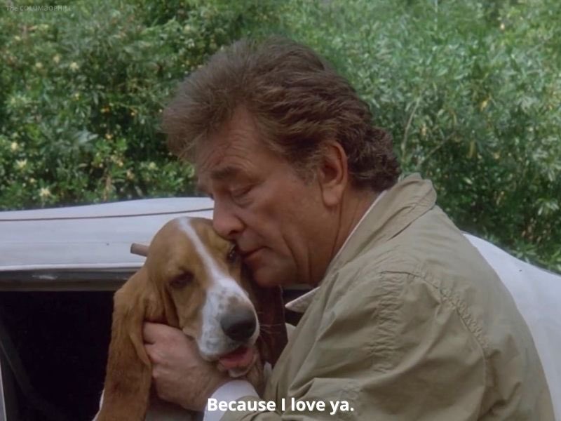 Lieutenant Columbo tweet media