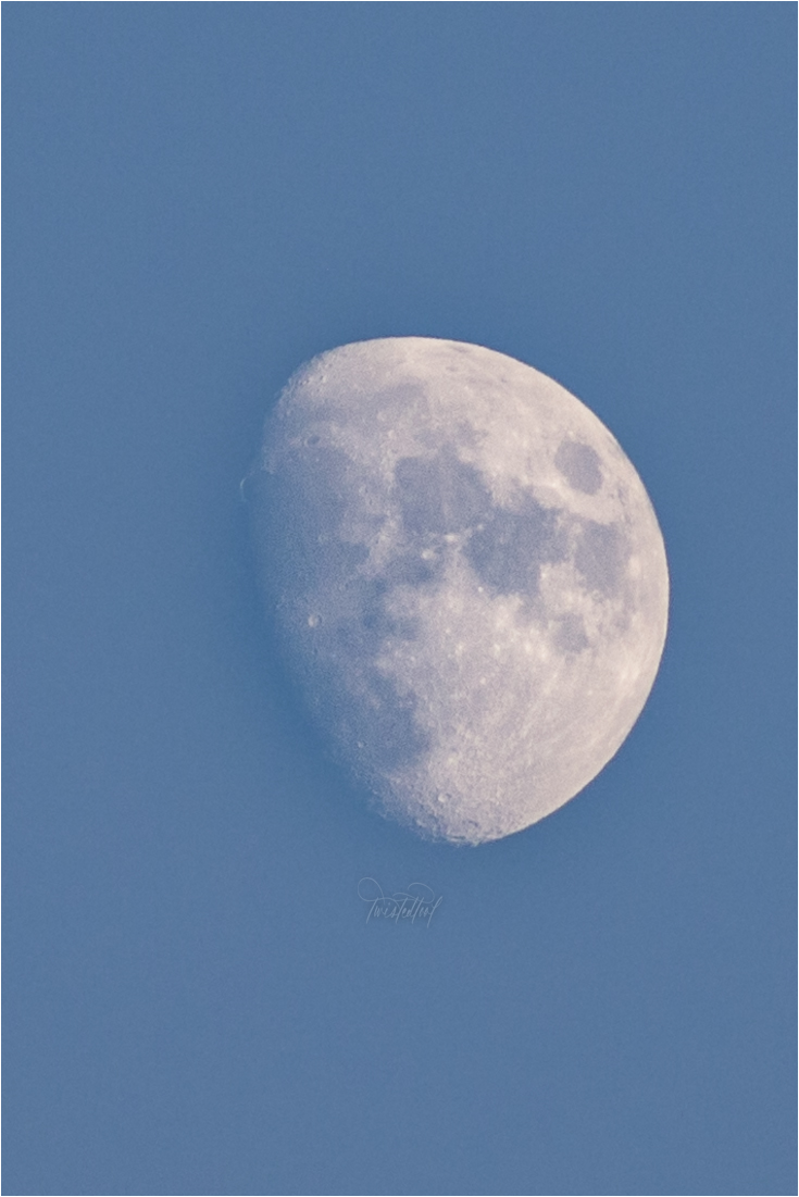 TwistedTool's tweet photo. Sir, Your Egg Is Out Of This World! [5.10.22]

#Moon #MoonPhotography #Canon #CanonPhotography #PhoTTography #WaxingGibbous #Nicosia #Cyprus https://t.co/eABJcUNPE2