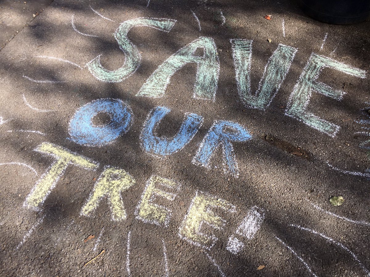 Thanks to everyone who’s shown their support for #savethesydenhamplane 

Our petition has passed 800 in less than 24 hours!😍 If you haven’t signed yet, it’s not too late to stop this beautiful tree from being felled:

chng.it/yg4VNn5cVk