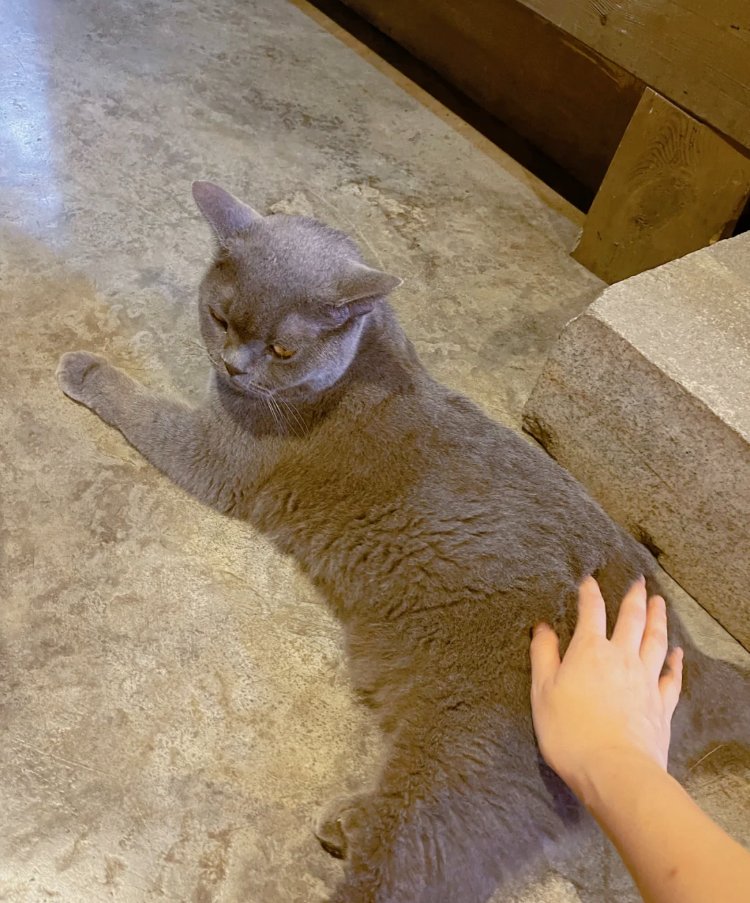 Never complain about what has happened to you, either change it or just accept it quietly