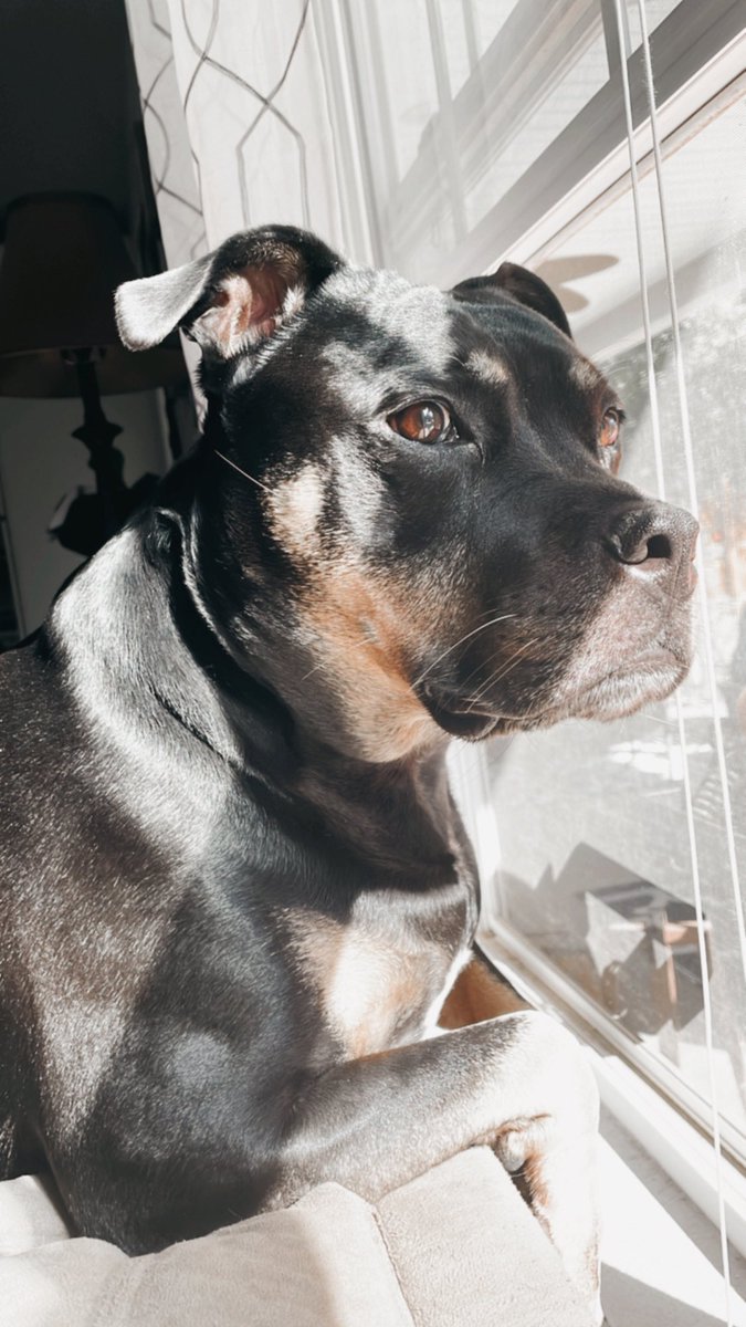 Lindsay Hines tweet media