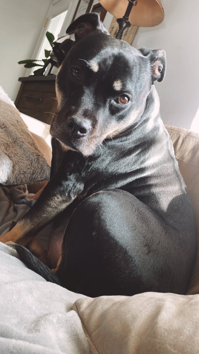 Lindsay Hines tweet media