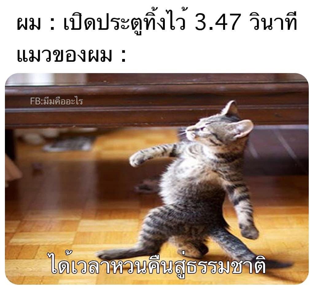 TUDMEUG tweet media