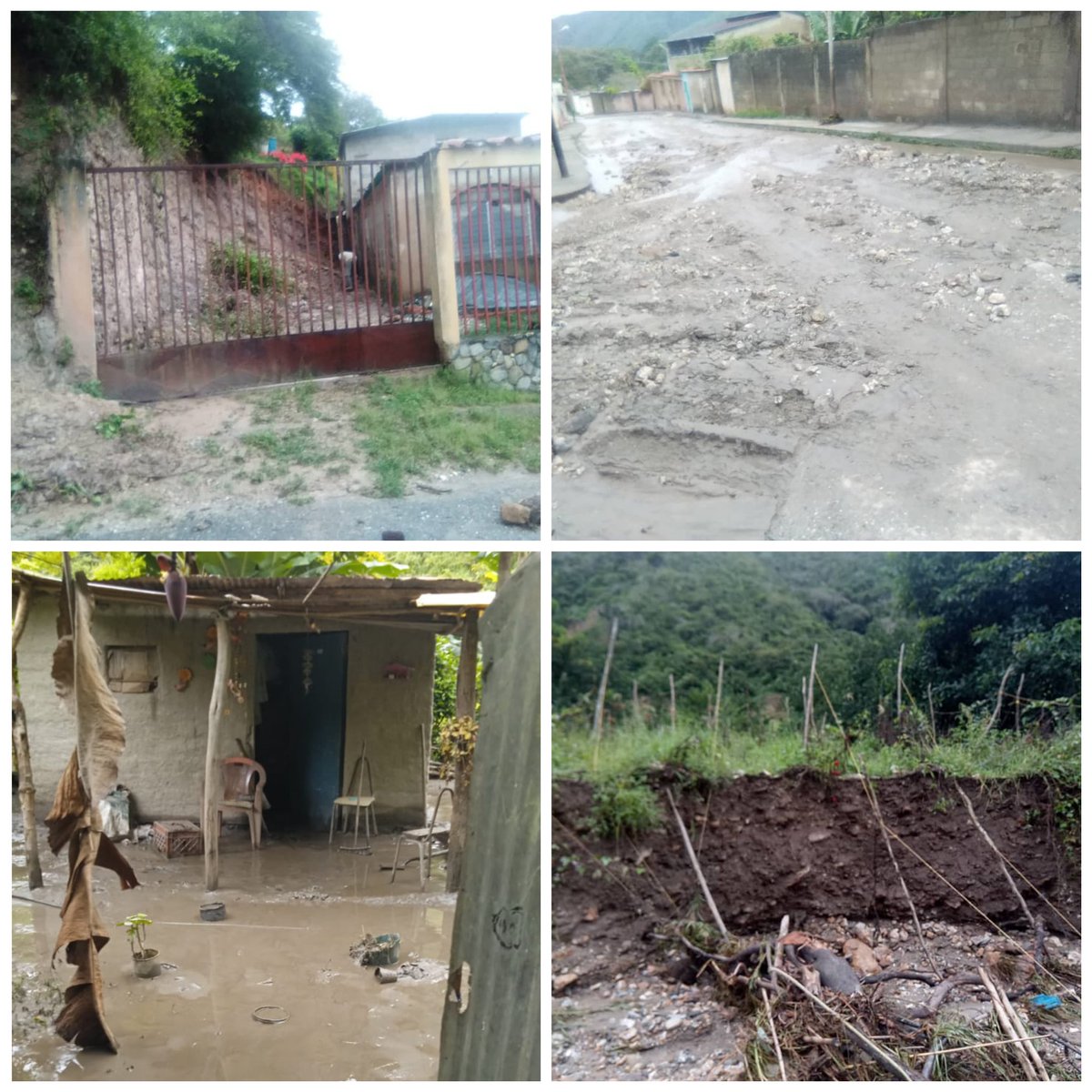 ComunaAdrianM's tweet photo. Más de 10 casas destruidas, 50 familias damnificadas y más de 100 en riesgo por fuertes lluvias en Río Claro declarado en emergencia y hacemos el llamado a todas las instituciones y al gobierno nacional para trabajar en los grandes daños ocasionados. @NicolasMaduro https://t.co/ypcoRLmtVD