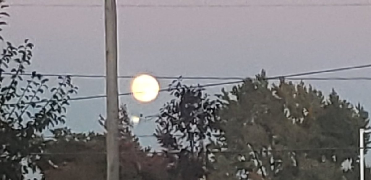 Dravinixia's tweet photo. Last nights hunter's moon #moon #photography #art #ArtistOnTwitter #FYP #fypシviral https://t.co/M3R9f2EP28