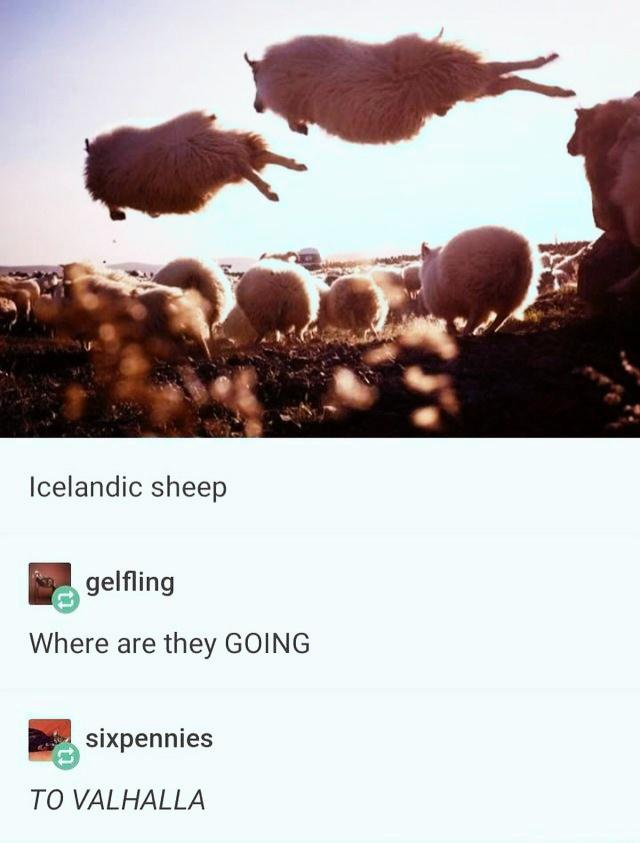 WholesomeMeme tweet picture