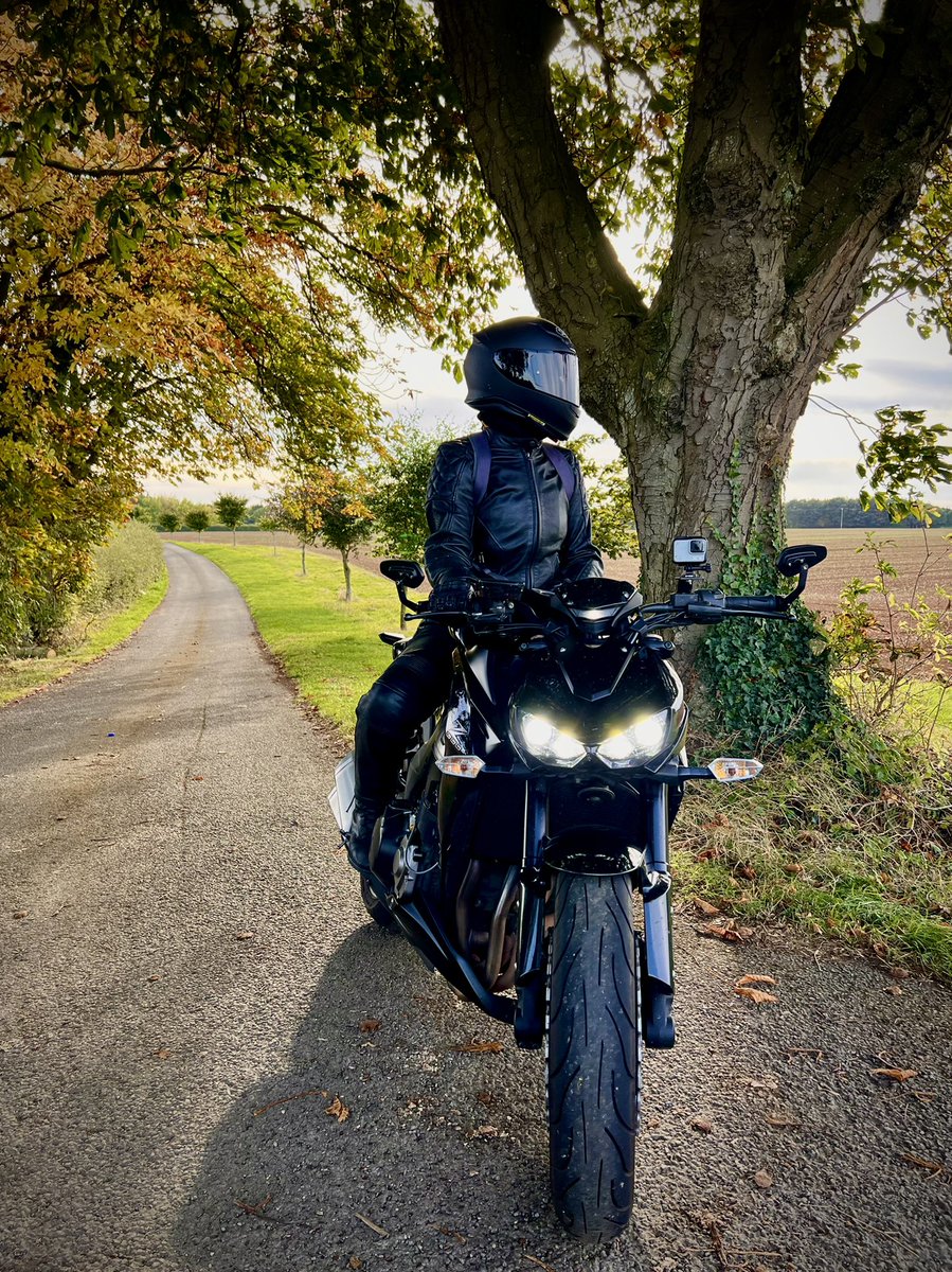 #Z1000 🖤 #AutumnVibes