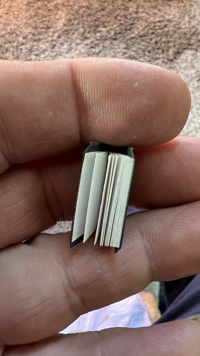 Blue Jaguar •t•💭 tweet media