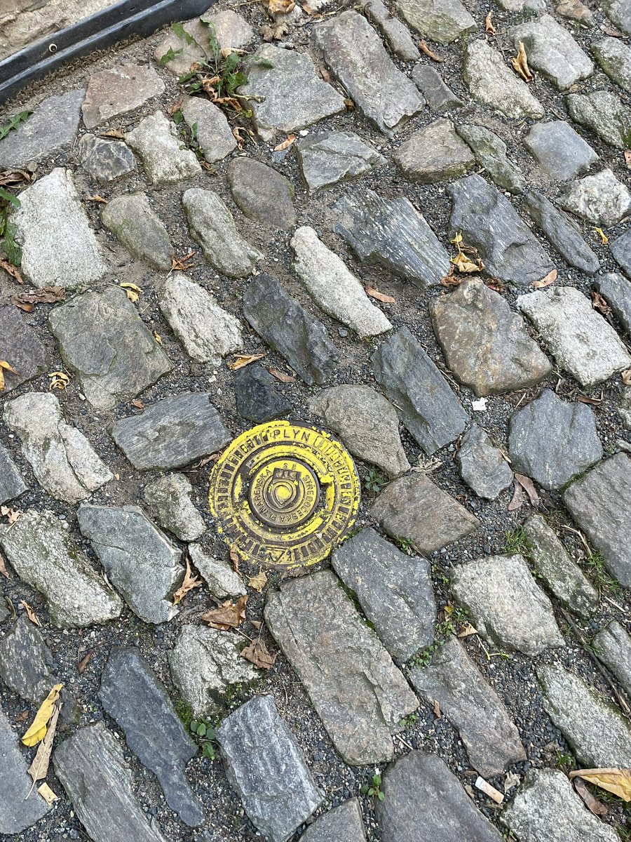 Predxican98's tweet photo. It has to be the Construction manager in me that make me take pictures of public utilities service covers . I just find fascinating the level of details that some cities put on them. #Constructionissues https://t.co/myQeNyjM9R