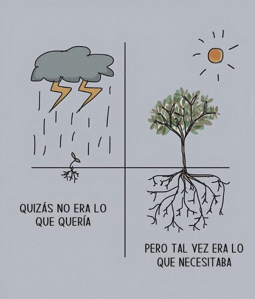 Cultura Literal (@culturaliteral1) on Twitter photo 