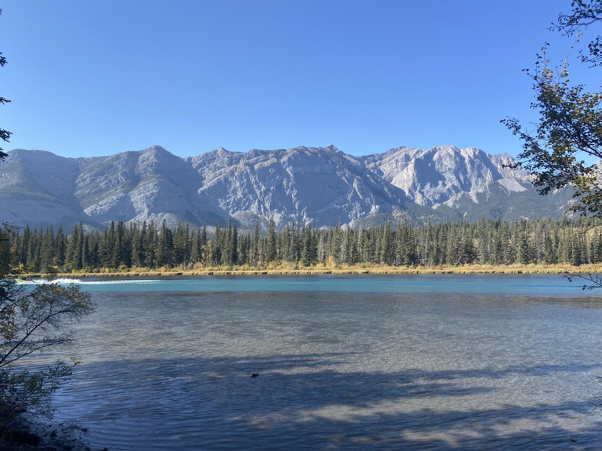 YYCFreelancer's tweet photo. Couldn’t ask for a nicer #thanksgiving #gratitude https://t.co/unQe0ynDQf