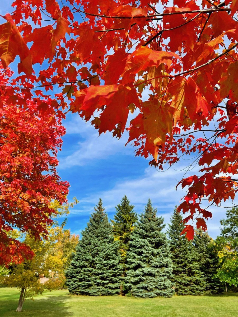 PowelliXavier's tweet photo. The autumn wind makes people drunk https://t.co/yFBzOk9Nx8