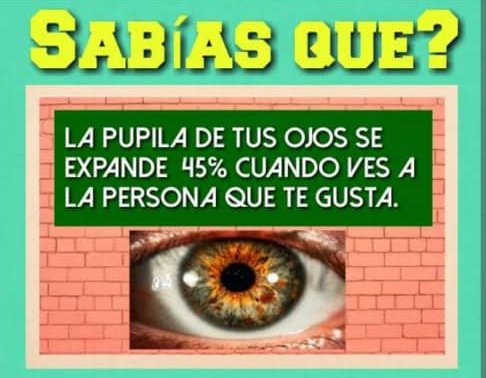 @DeZurdaTeam_ Consejo de Domingo:
Para saber si le gustas a alguien...mirale fijo a los ojos!!
#DomingoDeSeguirZurdos
#CheVive

@AdrianaRojasQba @FelizenQba 
@AlejandraSuar3z @NairNaira1 
@ShadowsOfGreys @PaolaSCruz1990 @MiaIzquierdoP
@CubanaLidice @HabanaGonzalez 
@ChuyLianet @bea_azurduy