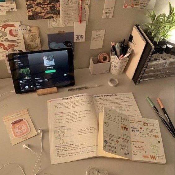 ik00re's tweet photo. ˳ ✧ estudando com o bts
⠀
⠀⠀⠀⠀⠀⠀⠀a thread; https://t.co/URm5ufNq3A