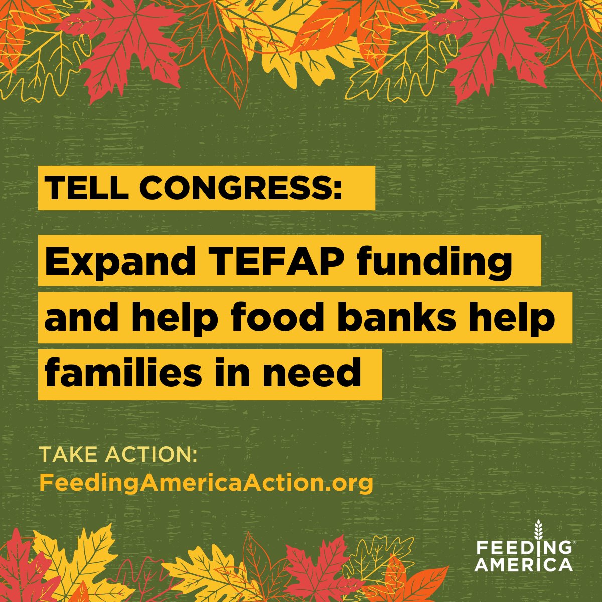 hunger's tweet image. 💡 It’s getting darker much sooner outside and temperatures are going down. For many people, that means a heftier energy bill—and less money for food. 
 
Programs like TEFAP keep food banks stocked so families don’t have to make impossible choices.