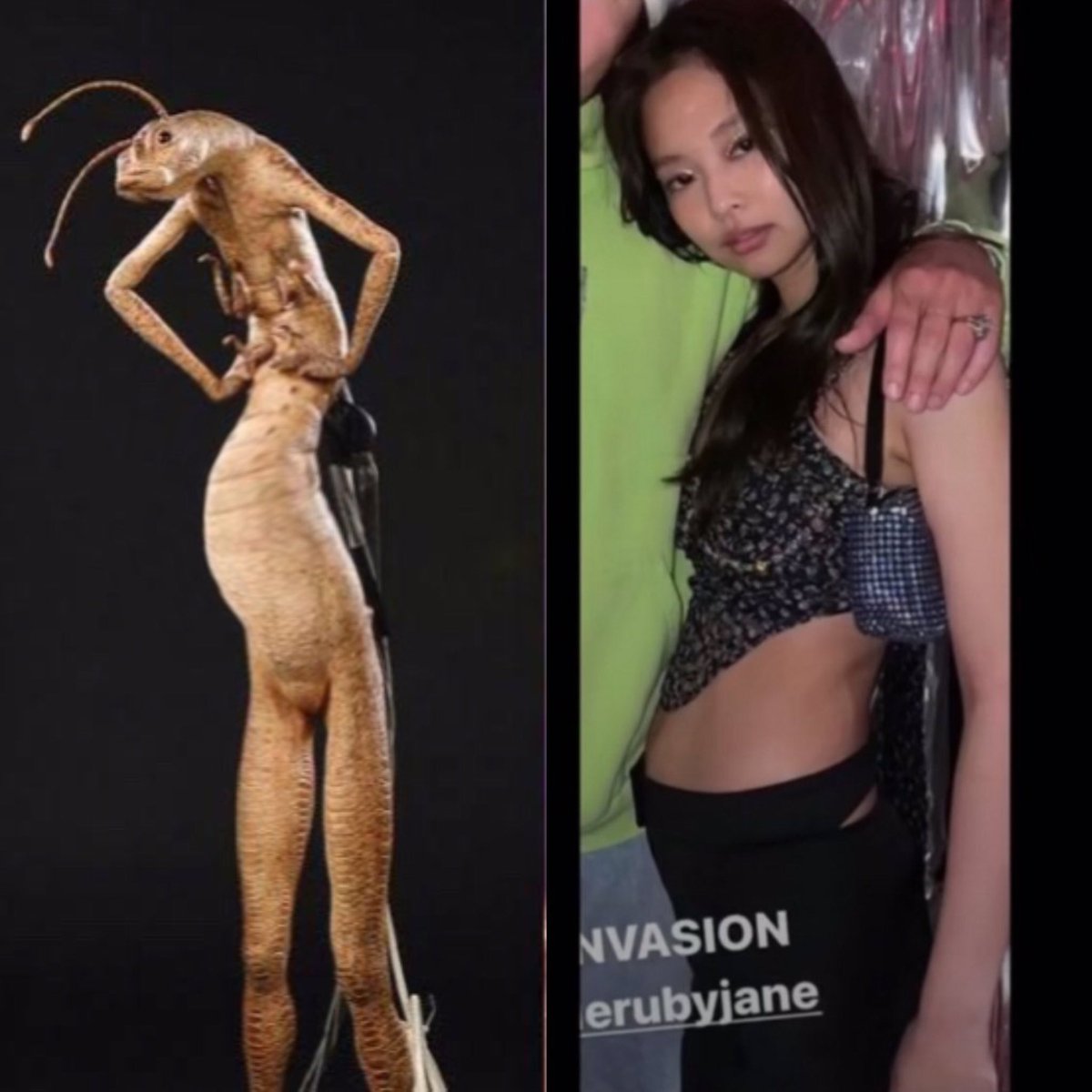 Pink40568227's tweet photo. #jennieputita la más fea de todo BP, después le sigue la ogra de #PigSoo, #rosegemidora #lisaanorexica https://t.co/1DBQ8X742A