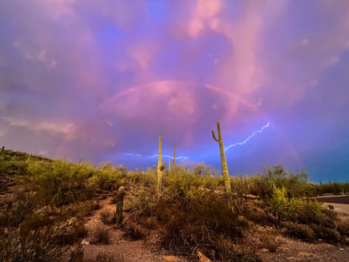 Cap sur le Texas, le Nouveau-Mexique et l’Arizona 🌵🌵🌵. Voici le bilan de notre roadtrip de juillet  😜

lostintheusa.fr/2022/10/09/roa…