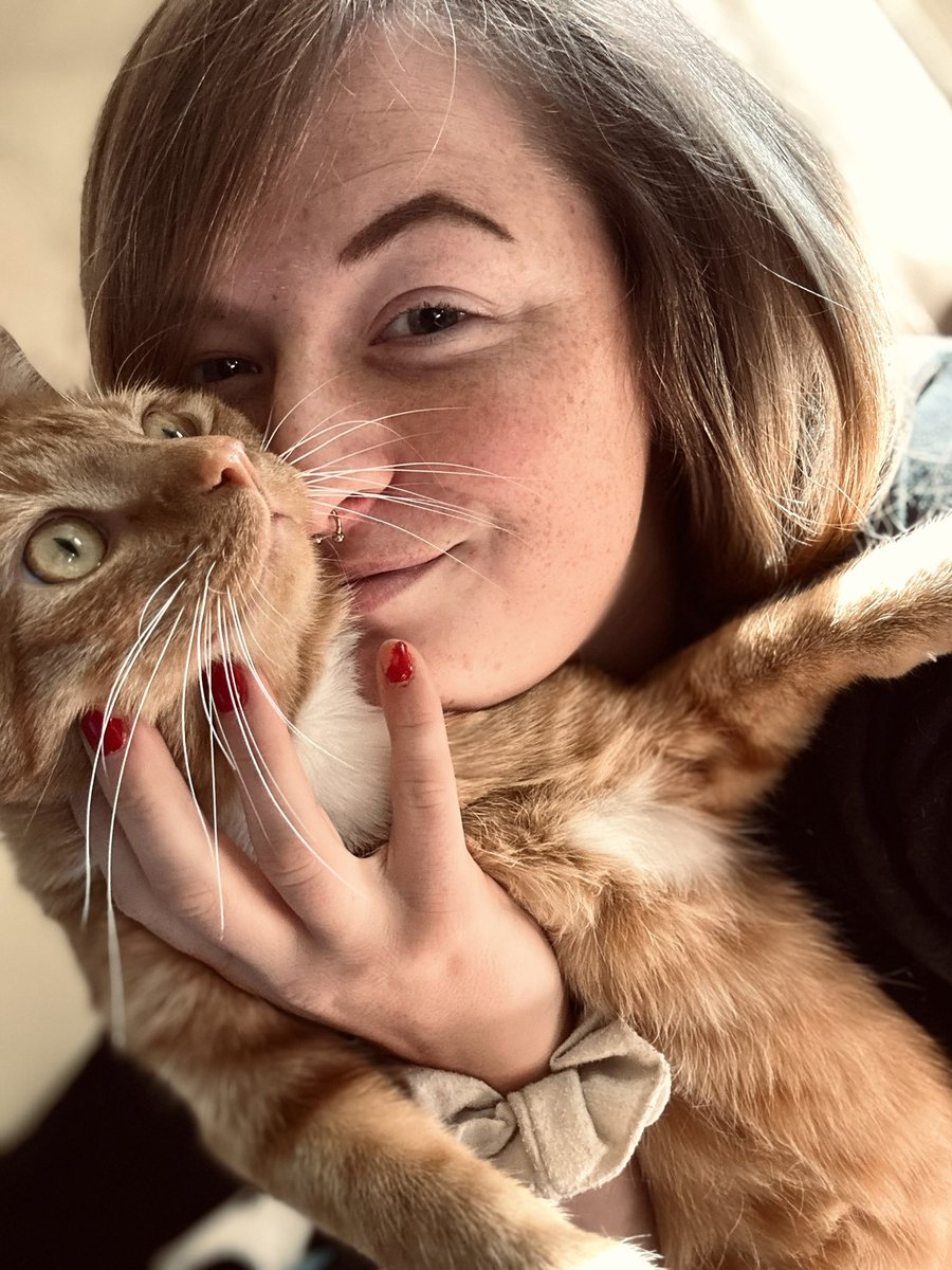 reimer_tiffani's tweet photo. Birthday boy! 😍#CatsOfTwitter #CatsOnTwitter #CatsLover #1yearsold https://t.co/liY1t8GASP