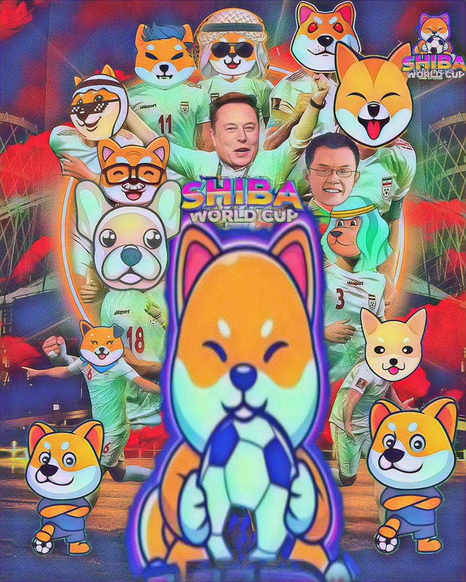 fayyola19's tweet image. My entry @worldcup_shiba 
#shibaMemeContest
#qatarworldcup #shibaworldcup