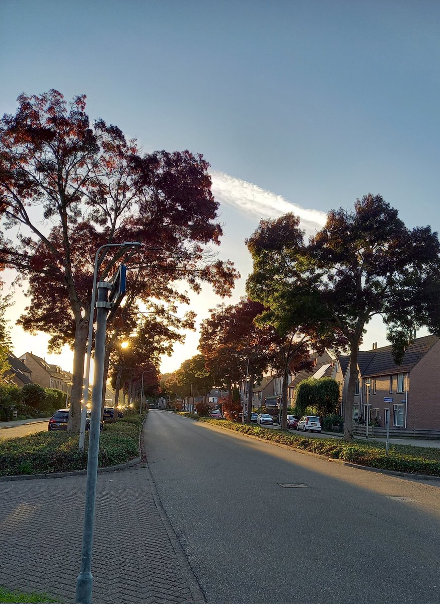 GroothuisMark's tweet photo. Essen Stadhouderlaan Zwolle in de avondzon #jaarlijksefoto https://t.co/rp6jpnWQy5
