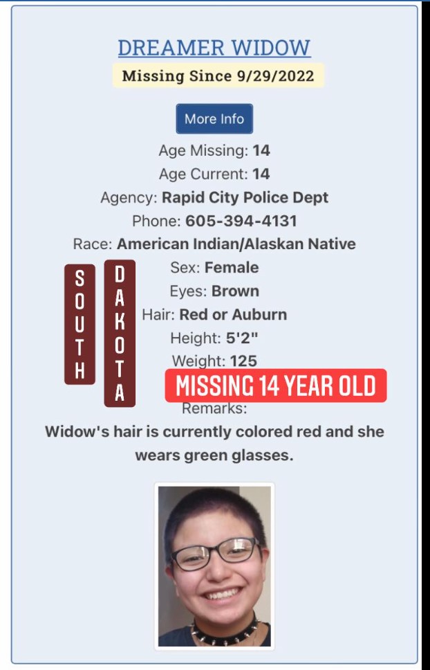 Historyspeaks21's tweet image. @MissingFlowers_ @niwrc @missingNamerica 
lets bring these faces to the eyes that can bring them home #missingindigenous #MMIW