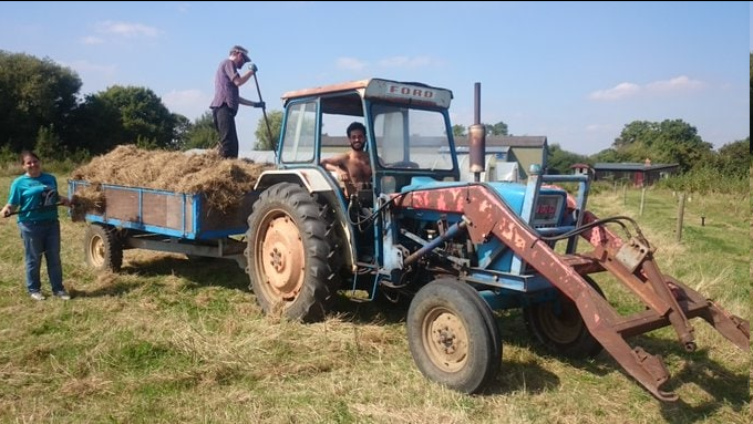 GreengrowCoop's tweet photo. Come and join us! We're seeking a seasonal trainee for 2023. Grassroots workers co-op, passionate about regen ag, local food &amp; social justice. Producing veg and meat boxes, dried beans for @Hodmedods, &amp; supply local foodbanks. You could too! @WWOOFUK  
https://t.co/os9MRQ4uqz https://t.co/eV2FN6aXcg