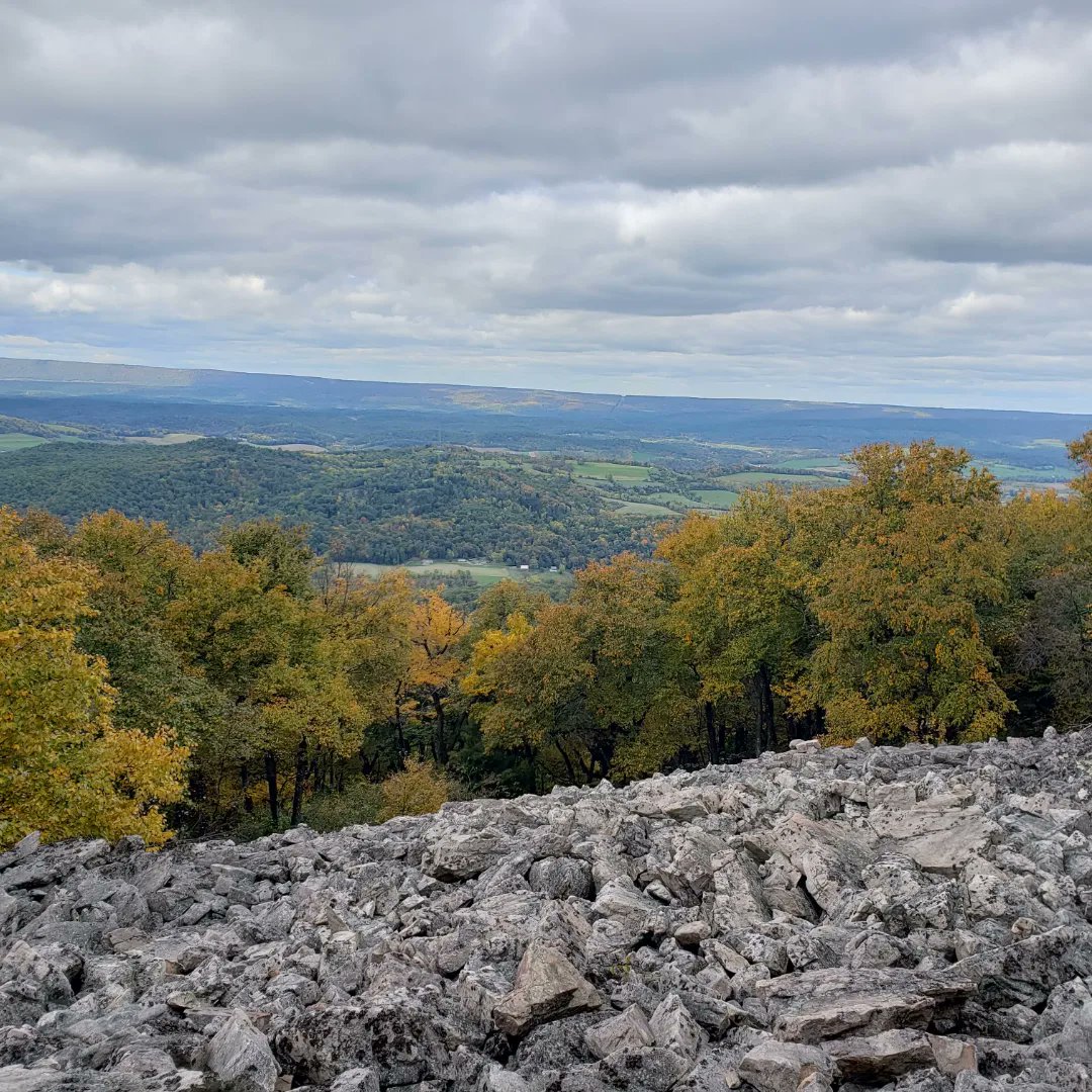 Tony_Pedley's tweet photo. The Standing Stone Trail from Allensville Road to Little Vista took a beating this year. Cleaning up the trail to make the Vista enjoyable for all. https://t.co/PLxNIkRhgE