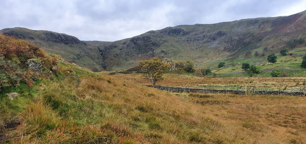 WildLakeland's tweet photo. A few from a potter around Swindale. Fly Agaric mushroom and Mountain Male Fern growing in a wall. Autumn colours developing nicely. #LakeDistrict #Swindale https://t.co/dJHIJ2l32A