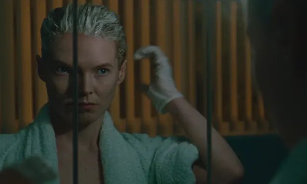 Whitlock And Pope 🏳️‍⚧️ tweet media