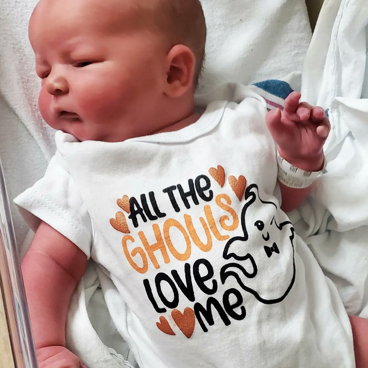Vampriss's tweet photo. Introducing Lincoln Kamil-Stephen Bergel. He was born Friday and is doing very well! 9lbs 4oz. We are still in the hospital as he is a little higher risk for jaundice, so as a precaution, we are here. Linc's middle names are after his daddy and his grampa! https://t.co/jkXFeDdg5c