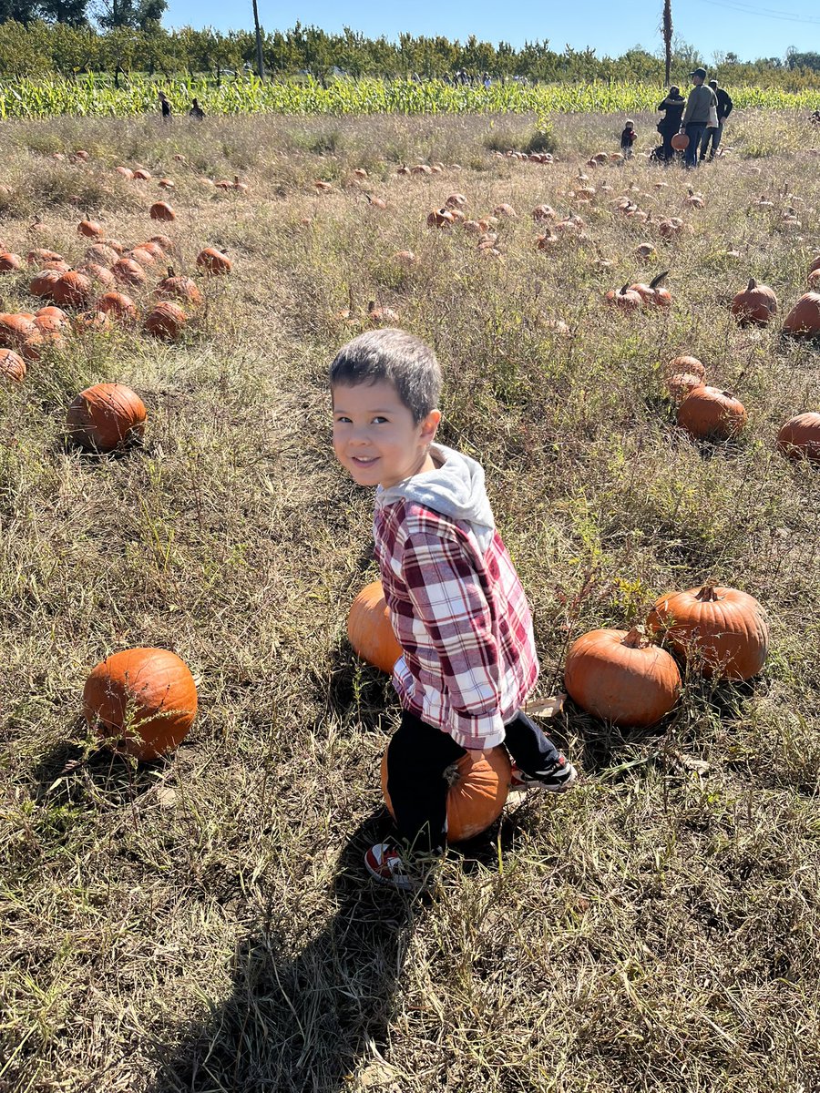 Alyssa Tiumalu tweet media