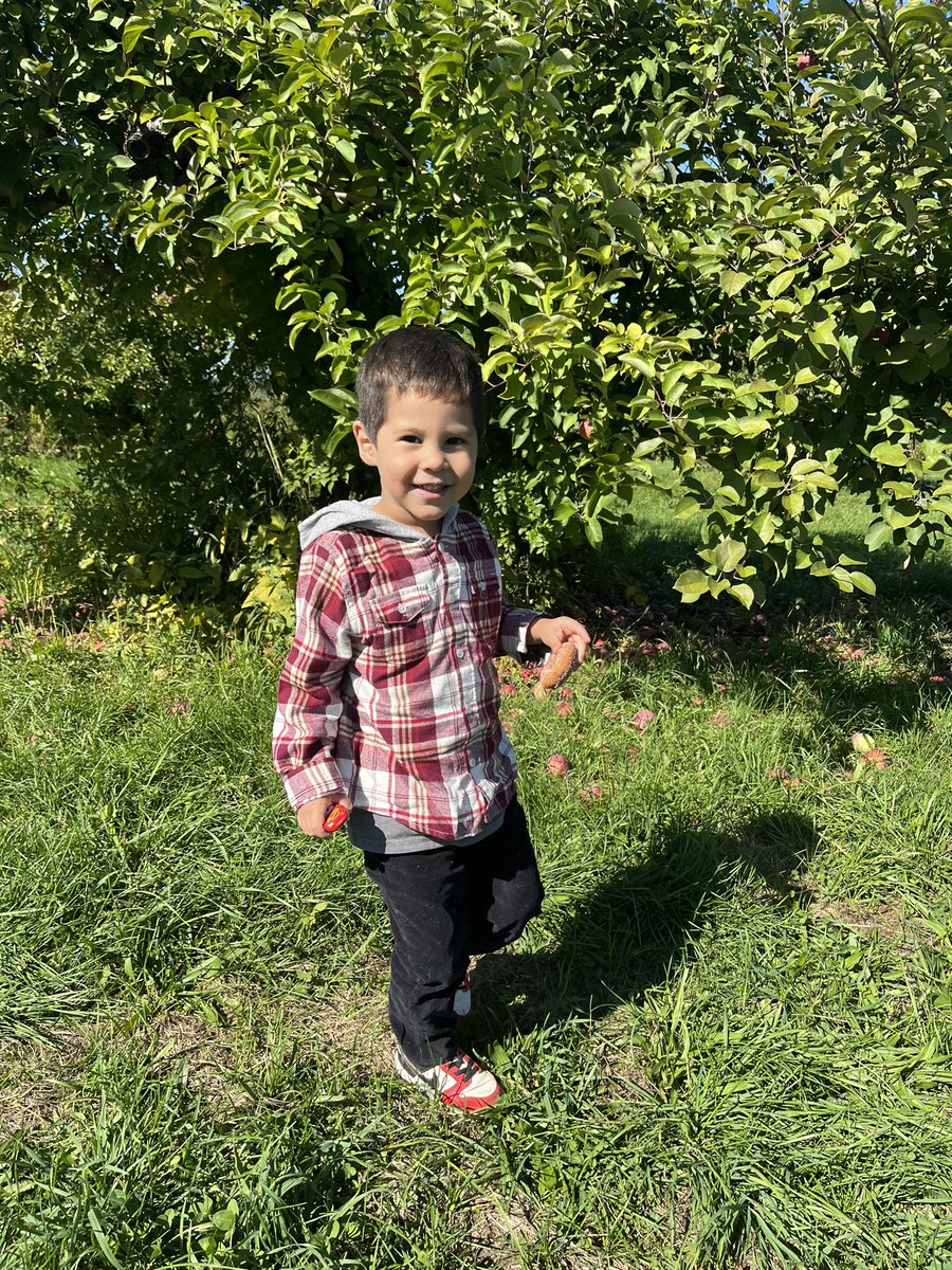 Alyssa Tiumalu tweet media