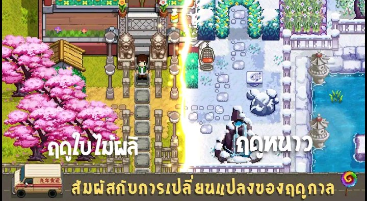 เเมว ก า ก tweet media