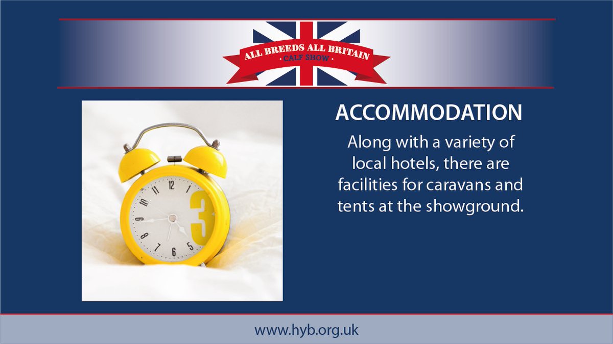 ABAB Calf Show tweet media