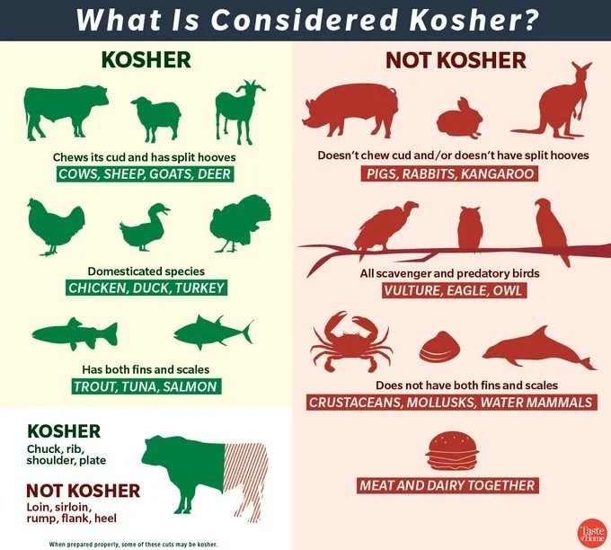 LibraryPocket's tweet image. When studying Microbiology.

smallpocketlibrary.com
---------------------
We Welcome you to our group
facebook.com/groups/SmallPo…

#free #food #fast #meal #Small_Pocket_Library
