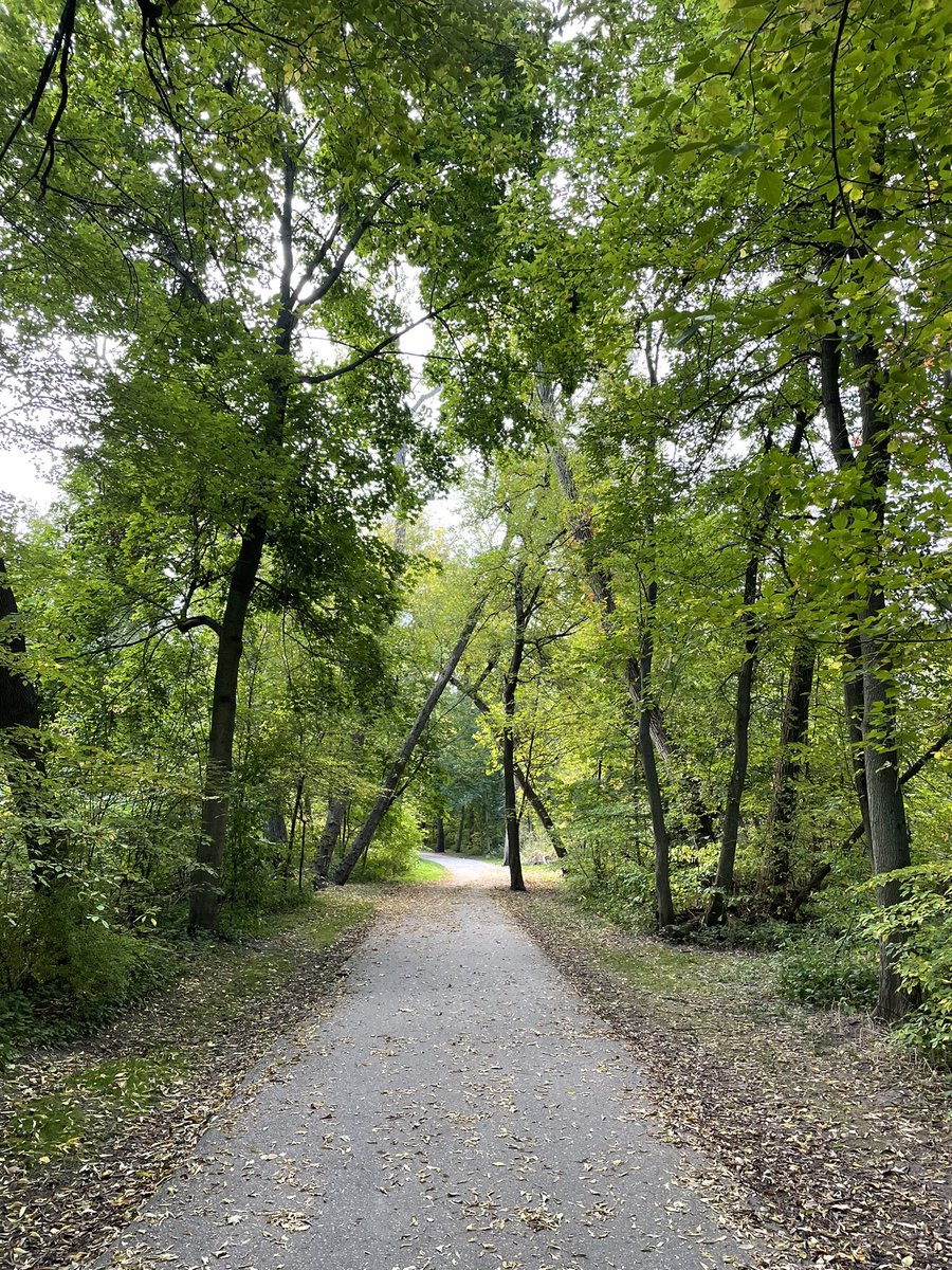 roobz 🌙 🌸 tweet media