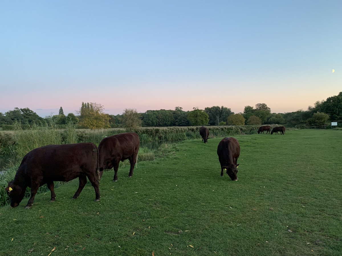 Carlotta Paltrinieri tweet media