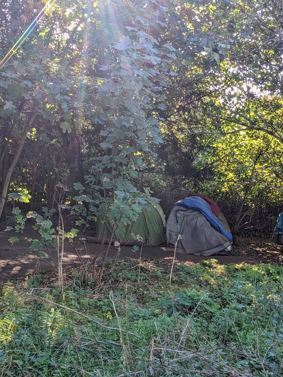LesMeuniers75012 (@meuniers75012) on Twitter photo Le bois de Vincennes, ses arbres, ses toilettes à ciel ouvert, et ses écureuils concurrencés par d'énormes rats qui pullulent autour des camps sauvages installés! <a href="/Mairie12Paris/">Mairie du 12e</a> doit attendre une épidémie de typhus ou de choléra pour intervenir! #saccageparis12 <a href="/EPierreMarie/">Emmanuelle Pierre-Marie</a> Le bois de Vincennes, ses arbres, ses toilettes à ciel ouvert, et ses écureuils concurrencés par d'énormes rats qui pullulent autour des camps sauvages installés! <a href="/Mairie12Paris/">Mairie du 12e</a> doit attendre une épidémie de typhus ou de choléra pour intervenir! #saccageparis12 <a href="/EPierreMarie/">Emmanuelle Pierre-Marie</a>