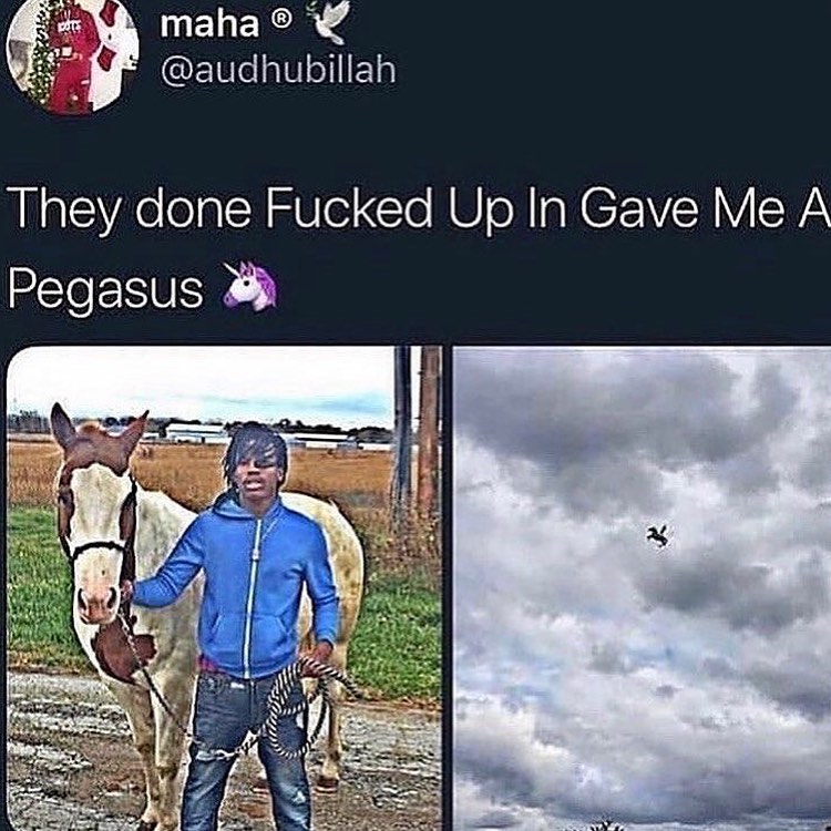 RapWiseReturns's tweet photo. Bro is outta here 🤣 https://t.co/bSiRFjG5wA