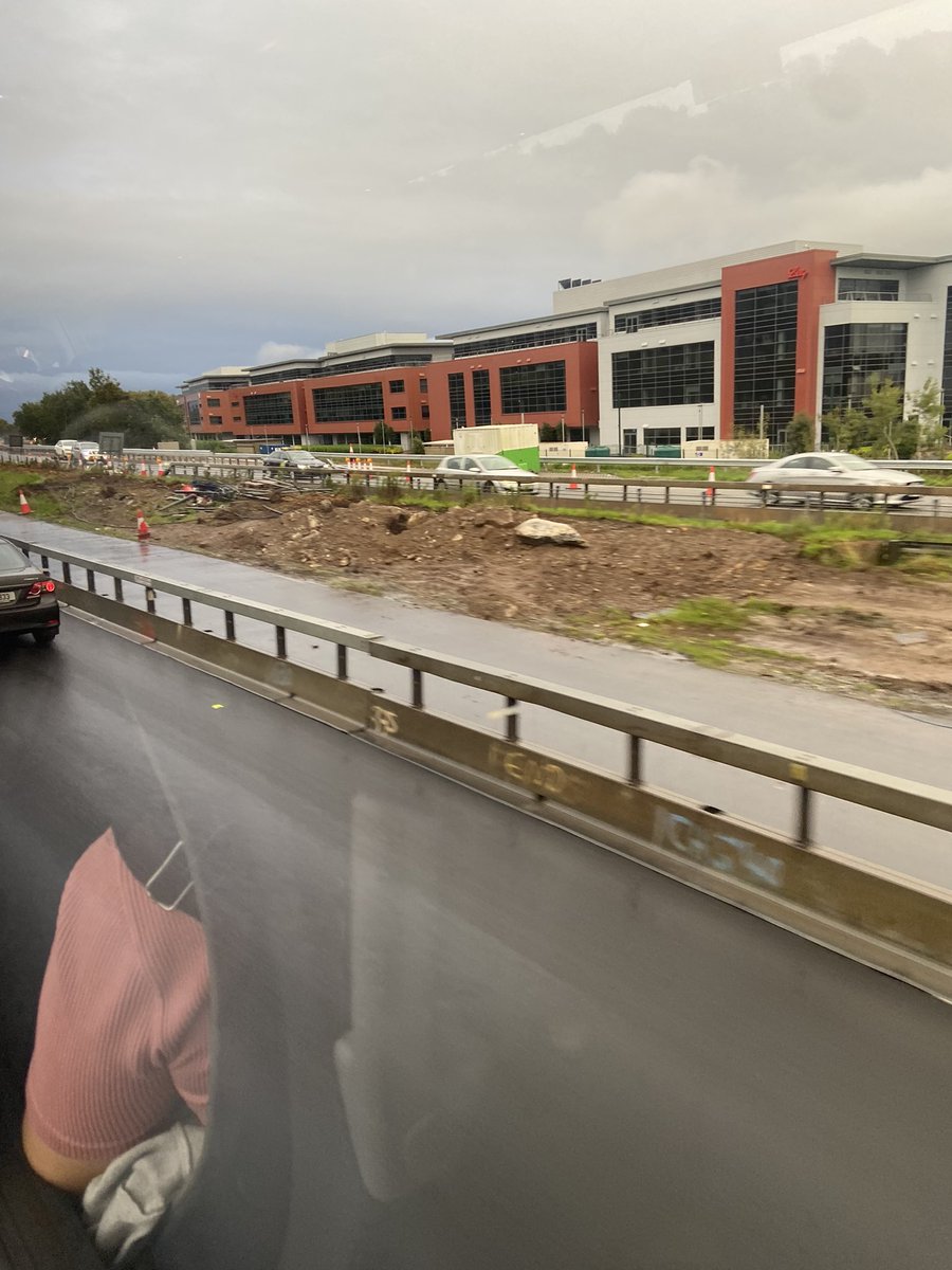 Depressing to see so much greenery getting ripped out just for more and more road space at the Dunkettle Roundabout all the way to Little Island.