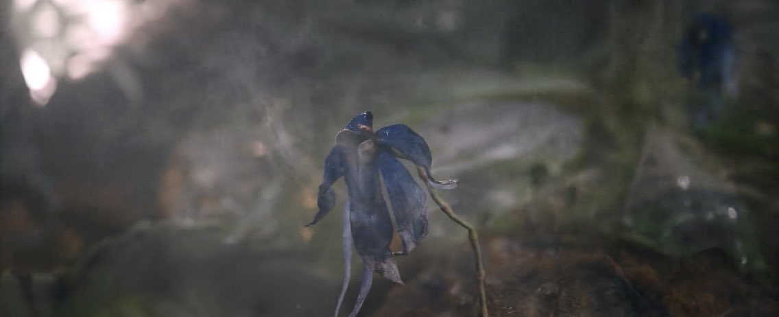 จบลงไปแล้วกับสามพี่น้องที่คลายเกือบทุกปมที่ขมวดพันกันไว้  จบครบทุกอารมณ์ ยินดีไปกับตัวละครในการเริ่มต้นชีวิตใหม่ จบแล้ว ได้เวลาบอกลาแผงยาพาราแล้วนะคะทุกคน 😄👍🏻  #LittleWomenEp12 #LittleWomen